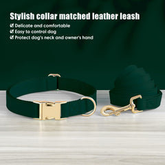 PET ARTIST christmas-green-collar adds festive style on outings.