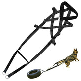 PET ARTIST dog sled harness neck padding for cushioned pulls and safety