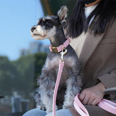 PET ARTIST quick-release metal buckle detail ready for easy on/off during outings
