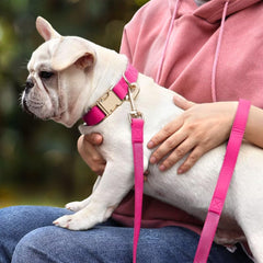 PET ARTIST soft PU leather collar for large dogs emphasizes comfort and lasting wear.
