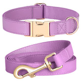 PET ARTIST soft PU leather dog collar in purple offers a soft feel and durable wear.