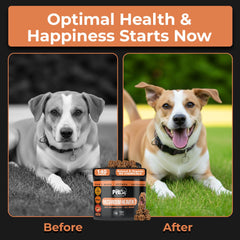 Pet Chef Nutrition lions-mane-mushroom for dogs aids cognitive clarity
