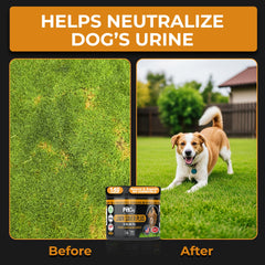 Pet Chef Spirulina Kona Berry ingredients showcase immune-boosting nutrients.