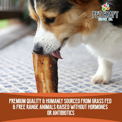 Pet Craft Supply Buffalo Marrow Bones grain-free chew for protein-loving dogs