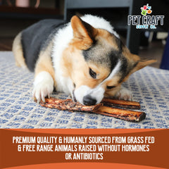 Pet Craft Supply buffalo rib bones dog chewer closeup, natural rawhide-free entertainment.