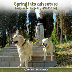 Pet Dreamland double dog leash waist belt with soft handles for comfortable walks