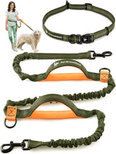 Pet Dreamland Exquisite Hands Free Leash for large dogs dual soft handles for comfortable control