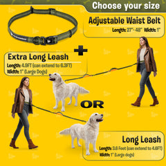 Pet Dreamland night visibility strips on leash for safer evening strolls