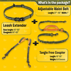 Pet Dreamland no-tangle design prevents tangles during two-dog walks