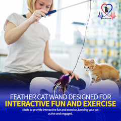 Pet Fit For Life active play helps indoor cats stay agile.