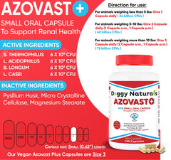 Azovast Plus capsules close-up showing probiotic blend aiding renal comfort in dogs and cats.