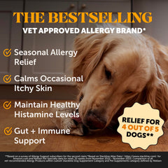 Pet Honesty Allergy Skin Health salmon-flavored chews for daily coat and skin care