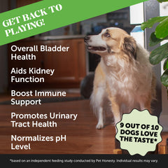 Pet Honesty Cranberry Bladder Health chews dog snack closeup highlights urinary wellness flavor