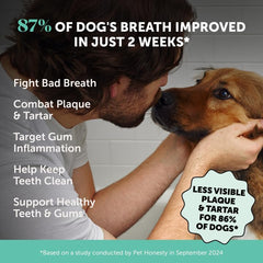 Pet Honesty dental powder bottle with scoop enabling simple daily sprinkling.