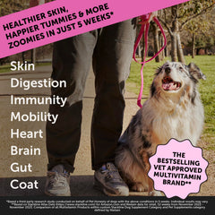 Pet Honesty dog multivitamin max strength capsules closeup for daily nutrition