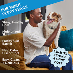 Pet Honesty dog supplement dish topping shown on meal bowl