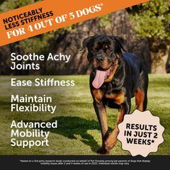 Pet Honesty Hip & Joint Health Max Strength dog chew close-up highlighting texture