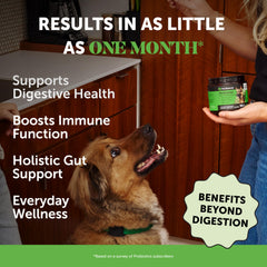 Pet Honesty probiotics dog chews tasty image highlights palatable bites for daily gut support