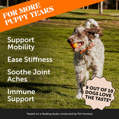 Pet Honesty pumpkin-coconut flavored chews shown for easy daily joint comfort for dogs