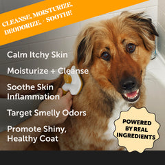 Pet Honesty shampoo application shows gentle lather for allergy-prone dogs and cats.