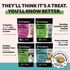 Pet Honesty skin and coat health icon related to cat care.