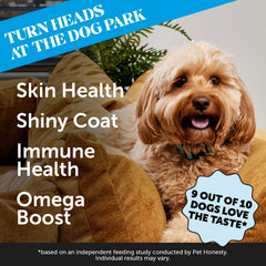 Pet Honesty Skin Health Salmon Chews bottle showing omega-3 richness for shiny coat