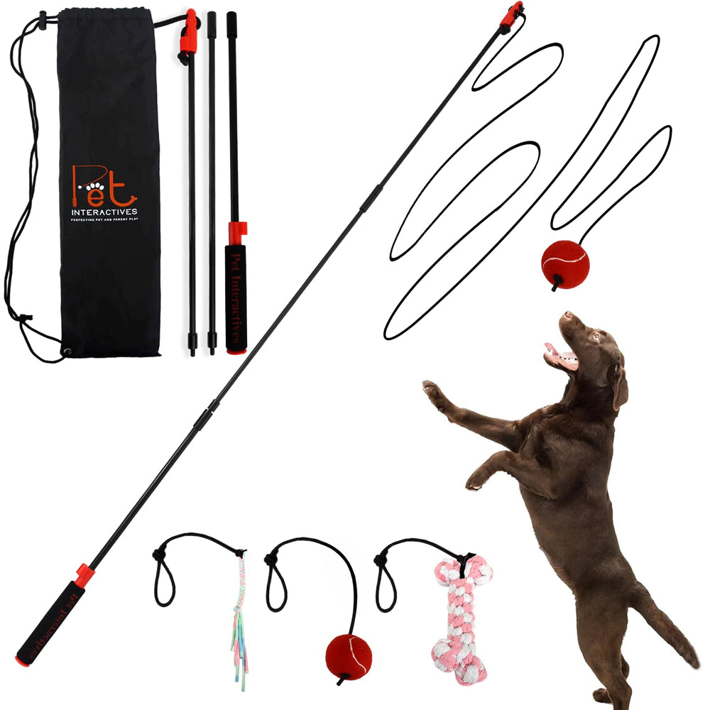 Pet Wrangler 2 assembled pole demonstrates durable setup for extended outdoor play and training
