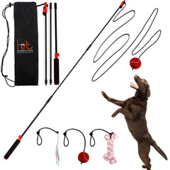 Pet Wrangler 2 assembled pole demonstrates durable setup for extended outdoor play and training
