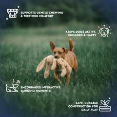 Pet Lou stuffingless floppy plush dog toy 19in rabbit squeaker detail for alert play