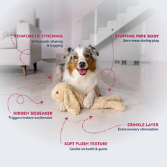 Pet Lou stuffingless floppy plush dog toy 19in rabbit tug-action supports fetch and chew time