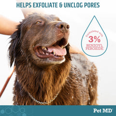 Pet MD benzoyl peroxide shampoo label close-up shows active ingredients.