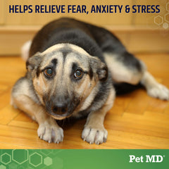 Pet MD Calming Chews treats close-up highlighting stress reduction for car rides.