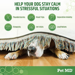 Pet MD Calming Chews ingredients scene featuring hemp, chamomile, melatonin.