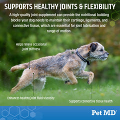 Pet MD Glucosamine for Dogs packaging shows life stage use and care