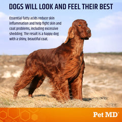 Pet MD Salmon Omega Bites chews close-up highlighting EPA & DHA for joints and brain support