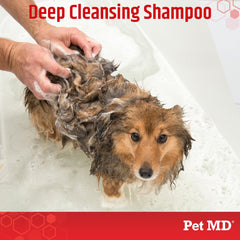 Pet MD topical shampoo foaming-lather creates rich foam for even coverage during baths.