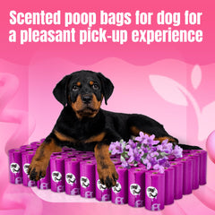 PET N PET perforated bags designed for easy tearing and quick use.