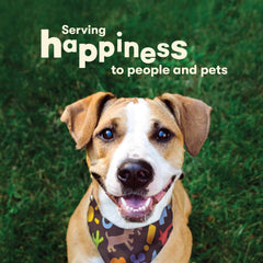 Pet 'n Shape dog chewing session image suitable for all ages.