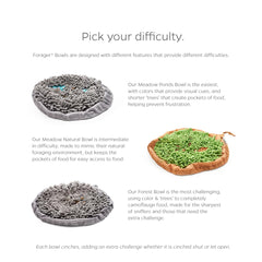 Pet Parents Forager Bowl visual stimulation in forest gray during meals.