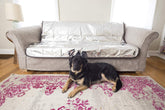 Pet Parents Pain-Free Pet Repeller Mat on couch backrest deters pets from jumping.