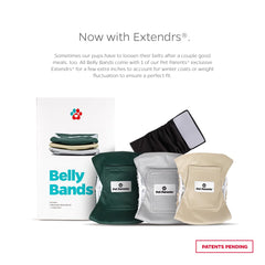 Pet Parents washable belly band small spruce on-dog demonstrates secure fit for daily wear and leak prevention.