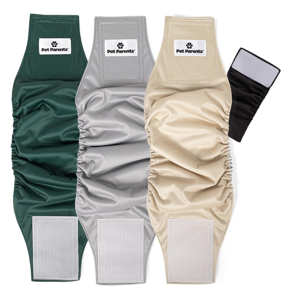 Pet Parents washable belly band small spruce packaging, ready-to-use 3-pack for quick urine management.