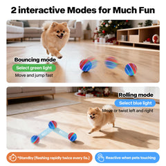 Pet Prime ball bounce mode in action showing dynamic, engaging play