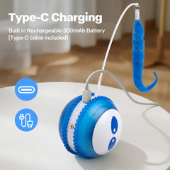 Pet Prime wand with feathers invites interactive teasing