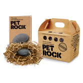 Pet Rock Original two-inch rock closeup showing sturdy design for desk decor