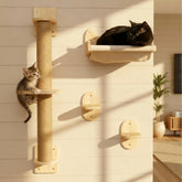 Pet Savvy 4-in-1 window wall-mount shelf assembly for secure apartment-friendly setup