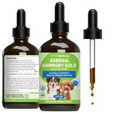 Pet Wellbeing Adrenal Harmony Gold dog bottle pour supports easy daily dosing for canine wellness.