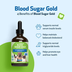 Pet Wellbeing Blood Sugar Gold dogs dosing with dropper demonstrates measured portions for consistency.