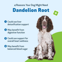 Pet Wellbeing Dandelion Root dog sniffing illustrates natural digestive support.