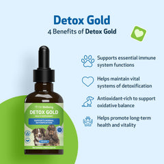 Ortiga, ingrediente clave en Pet Wellbeing Detox Gold para bienestar general.
